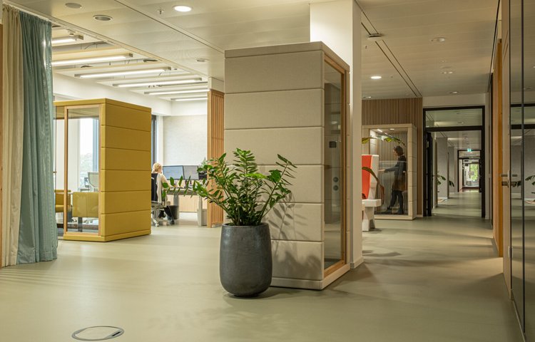 MICROOFFICE® nově i ve Frankfurtské škole financí & managementu